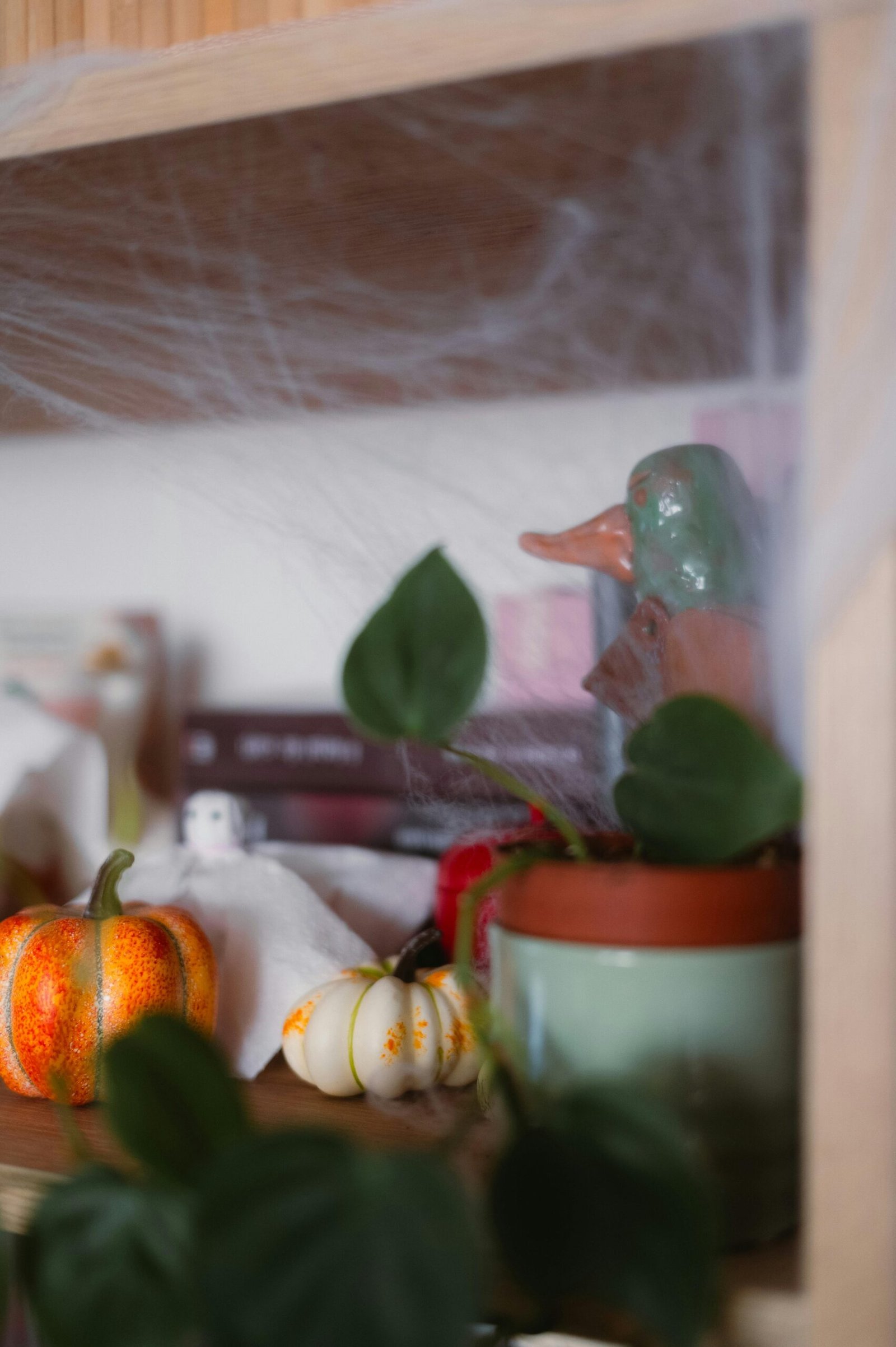 Cobwebbing Method: 7 Amazing Ways To Break Emotional Attachments (Proven Guide) 1 Cobwebbing Method