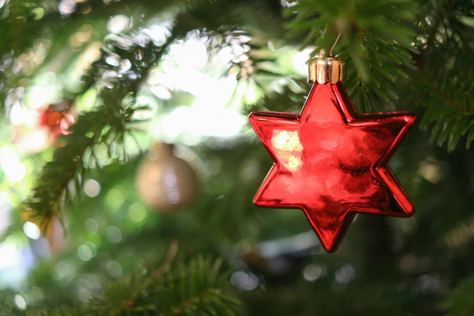 pexels studio lichtfang 2152913672 32473918 scaled Declutter Hacks Reviews